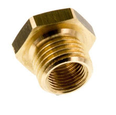 G 1/8'' x G 1/4'' F/M Brass Reducing Ring 16 Bar [10 Pieces]
