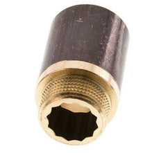 G 3/4'' F/M Extensión de latón DIN 3523 - 40 mm