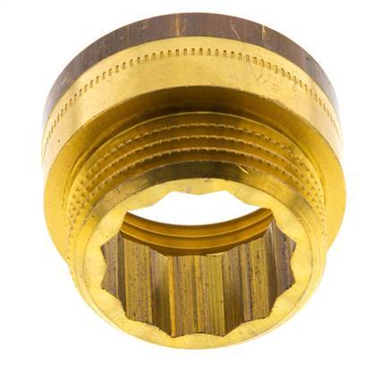 G 1'' F/M Extensión de latón DIN 3523 - 15 mm