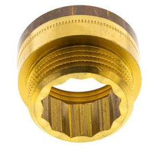 G 1'' F/M Extensión de latón DIN 3523 - 15 mm