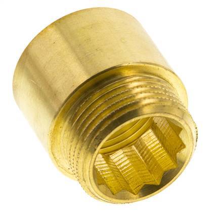 G 1'' F/M Extensión de latón DIN 3523 - 25 mm
