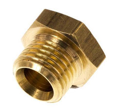 G 1/4'' x M5 Brass Double Nipple 16 Bar [2 Pieces]
