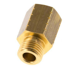 G 1/4'' x 1/4'' NPT M/F Anillo reductor de latón 16 Bar - Hidráulico