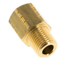R 1/4'' x 1/4'' NPT M/F Anillo Reductor de Latón 16 Bar - Hidráulico