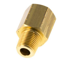 R 1/8'' x 1/8'' NPT M/F Anillo reductor de latón 16 Bar - Hidráulico