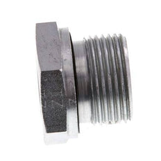 G 3/4'' x G 3/8'' M/F Zinc plated Steel Reducing Adapter 400 Bar - Hydraulic [2 Pieces]
