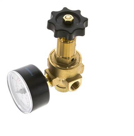Reductor de Presión de Agua y Aire Latón G1/4'' 2,5 L/min 0,5-6 bar/7-87psi