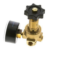 Reductor de Presión de Agua y Aire Latón G1/4'' 2,5 L/min 0,5-6 bar/7-87psi