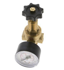 Reductor de Presión de Agua y Aire Latón G1/4'' 2,5 L/min 0,5-25 bar/7-362psi
