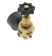 Reductor de Presión de Agua y Aire Latón G1/4'' 2,5 L/min 0,5-25 bar/7-362psi