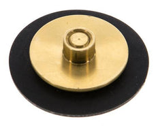 Diafragma de repuesto G1/4'' Reductores de presión de agua S-48RD