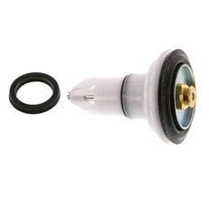 Kit de sustitución de válvulas R 1-1/2'' y R 2'' Braukmann