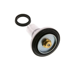 Kit de sustitución de válvulas R 1-1/2'' y R 2'' Braukmann
