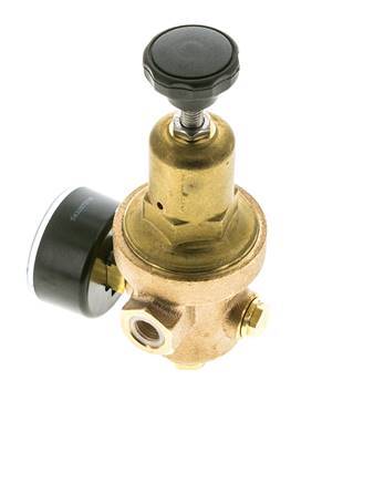 Reductor de Presión de Agua Bronce G1/4'' 8,3 L/min 1,5-8 bar/22-116psi