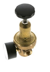 Reductor de Presión de Agua Bronce G3/8'' 10 L/min 0,2-2 bar/3-29psi