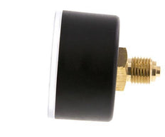 Manómetro 0..0.6 Bar (0.9 psi) Plástico trasero / latón 50 mm Clase 2.5