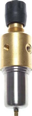 Filtro-regulador G1/4'' 800l/min 0,2-3,0bar/3-44psi