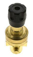 Regulador de presión1/4'' 490l/min 3,0-50,0bar/44-725psi