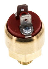 1 a 10bar NO Presostato de latón Conector plano G1/8'' 42VAC/DC