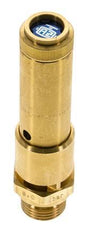 G Válvula de seguridad preajustada de latón de 1/2'' 13,3 bar (192,9 psi) DN 10