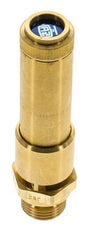 G Válvula de seguridad preajustada de latón de 1/2'' 33 bar (478,63 psi) DN 10