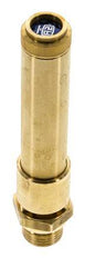 G Válvula de seguridad de latón de 1/2'' 43 bar (623.67 psi) DN 10