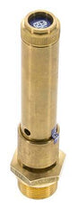 G Válvula de seguridad preajustada de latón de 3/4'' 45 bar (652,68 psi) DN 10