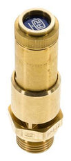 G Válvula de seguridad preajustada de latón de 1/2'' 4,5 bar (65,27 psi) DN 10