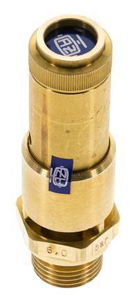 G Válvula de seguridad preajustada de latón de 1/2'' 4,5 bar (65,27 psi) DN 10