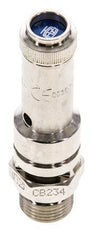 G 1/4'' Nickel-plated Brass Pre-Set Safety Valve 10 bar (145.04 psi) DN 8