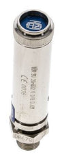 G 1/4'' Nickel-plated Brass Pre-Set Safety Valve 42 bar (609.17 psi) DN 8