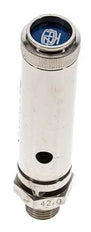 G 1/4'' Nickel-plated Brass Pre-Set Safety Valve 42 bar (609.17 psi) DN 8