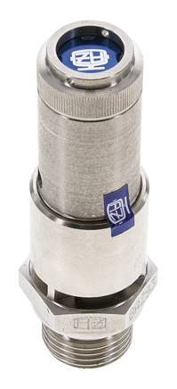 G 1/2'' Acero inoxidable 316 Ti Válvula de seguridad preajustada 2 bar (29.01 psi) DN 10