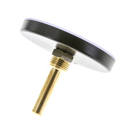 0 to +60°C Plastic Bimetallic Thermometer 100mm Cabinet 60mm Stem with Thermowell