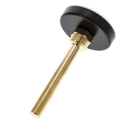 0 to +60°C Plastic Bimetallic Thermometer 63mm Cabinet 100mm Stem with Thermowell