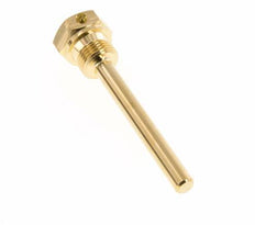 Termopozo de aleación de cobre G de 1/2 pulgada fijado con pernos para vástago de 100 mm máx. 160°C y 6 barras