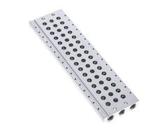 G1/8'' Manifold 16-Station Festo 566569 VABM-L1-10S-G18-16