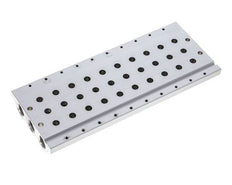 G1/4'' Manifold 10-Station Festo 566626 VABM-L1-14S-G14-10