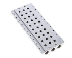 G1/4'' Manifold 10-Station Festo 566626 VABM-L1-14S-G14-10