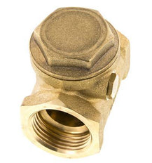 G 1'' Latón Válvula Antirretorno De Clapeta 12 Bar (174 Psi) NBR Sello Blando