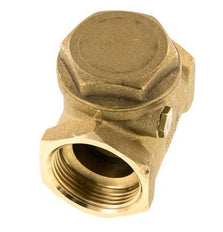 G 1-1/4'' Latón Válvula Antirretorno De Clapeta 10 Bar (145 Psi) Sello Blando NBR