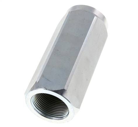 G 1-1/4'' Válvula Antirretorno Hidráulica Acero 8-300 Bar (116-4350 Psi)