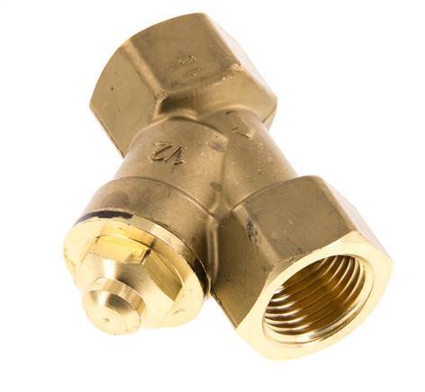Rp 1/2'' Latón Válvula De Retención Tipo Y 10 Bar (145 Psi) NBR