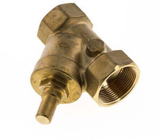 Rp 1-1/2'' Latón Válvula De Retención Tipo Y 10 Bar (145 Psi) NBR