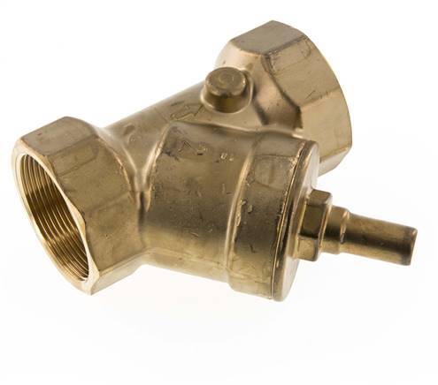 Rp 2'' Latón Válvula De Retención Tipo Y 10 Bar (145 Psi) NBR
