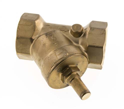 Rp 2'' Latón Válvula De Retención Tipo Y 10 Bar (145 Psi) NBR