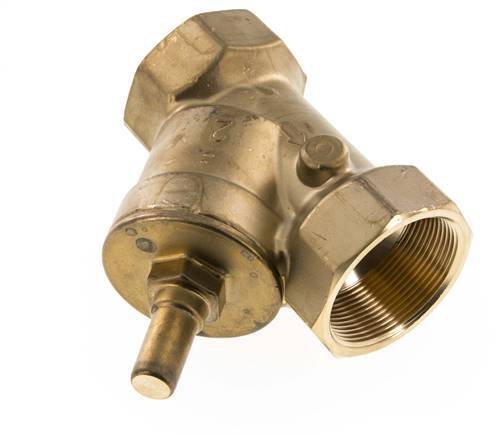 Rp 2'' Latón Válvula De Retención Tipo Y 10 Bar (145 Psi) NBR