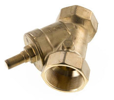 Rp 2'' Latón Válvula De Retención Tipo Y 10 Bar (145 Psi) NBR