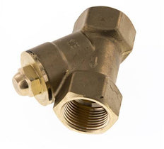 Rp 1-1/4'' Latón Válvula De Retención Tipo Y 16 Bar (232 Psi) FKM