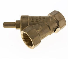 Rp 3/4'' Latón Válvula De Retención Tipo Y 10 Bar (145 Psi) FKM